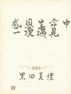 感恩生命中的每一次遇见