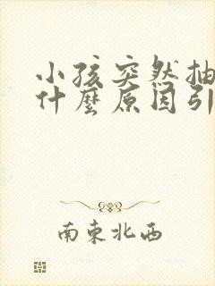 小孩突然抽搐是什么原因引起的