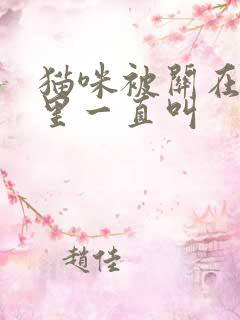 猫咪被关在笼子里一直叫