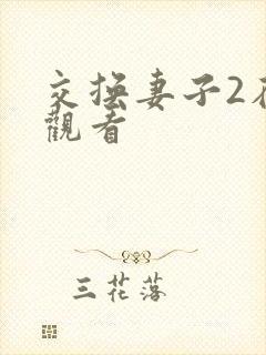 交换妻子2在线观看