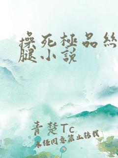 操死极品丝袜美腿小说