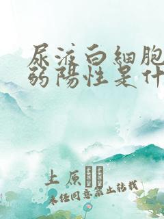 尿液白细胞酯酶弱阳性是什么意思