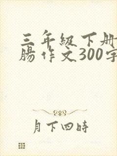 三年级下册热心肠作文300字