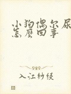 小狗偶尔尿血是怎么回事