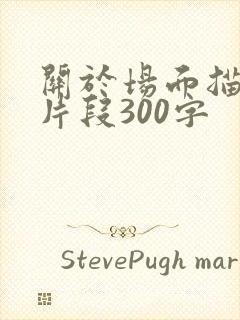 关于场面描写的片段300字