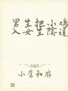 男生把小鸡鸡插入女生阴道里视频