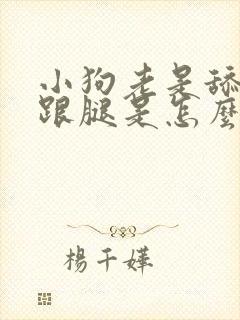 小狗老是舔爪子跟腿是怎么回事儿