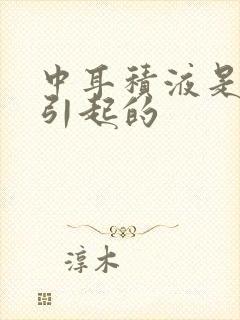 中耳积液是什么引起的