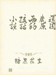 小孩两岁还不会说话的原因