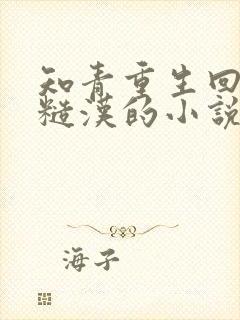 知青重生回来嫁糙汉的小说