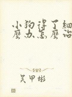 小狗得了细小怎么办怎么治疗