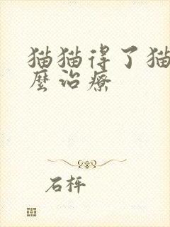 猫猫得了猫瘟怎么治疗