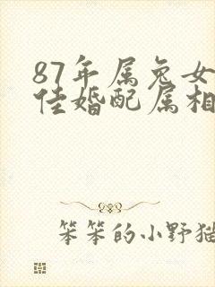 87年属兔女最佳婚配属相