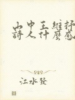 山中王维抒发了诗人什么感情