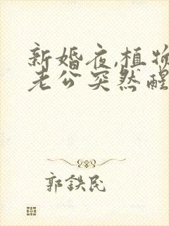 新婚夜,植物人老公突然醒了