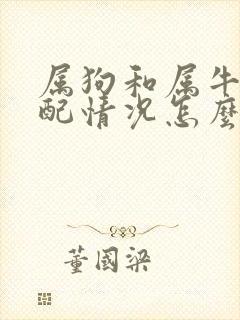 属狗和属牛的婚配情况怎么样