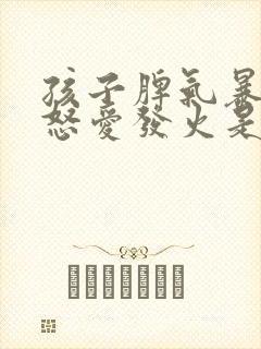 孩子脾气暴躁易怒爱发火是什么原因