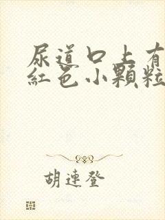 尿道口上有几个红色小颗粒