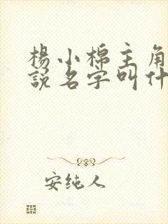杨小棉主角的小说名字叫什么