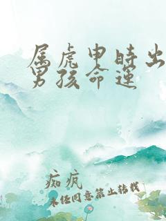 属虎申时出生的男孩命运