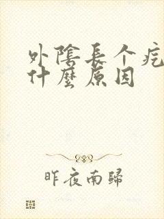 外阴长个疙瘩是什么原因