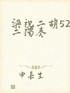 梁祝二胡52弦二独奏