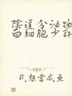 阴道分泌物检查白细胞少许