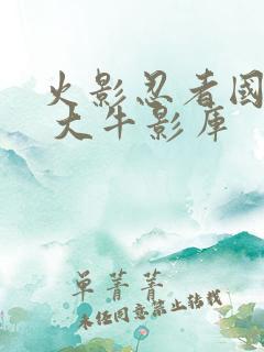 火影忍者国语版 大牛影库