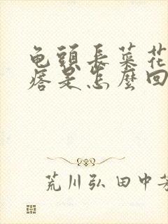 龟头长菜花状疙瘩是怎么回事