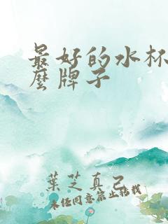 最好的水杯是什么牌子