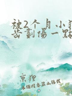 被2个月小狗牙齿划伤一点皮出血有事吗