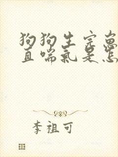 狗狗生完崽崽一直喘气是怎么回事