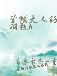 首辅大人的花式调教h