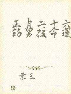 正月二十六出生的男孩命运怎么样