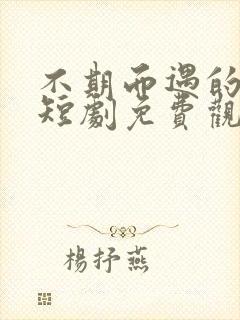 不期而遇的爱情短剧免费观看全集