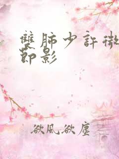 双肺少许微小结节影