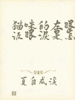 猫咪的左眼一直流眼泪是怎么了