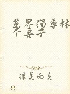 万界独尊林枫几个妻子