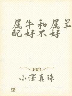 属牛和属羊的婚配好不好