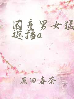 国产男女猛烈无遮挡a