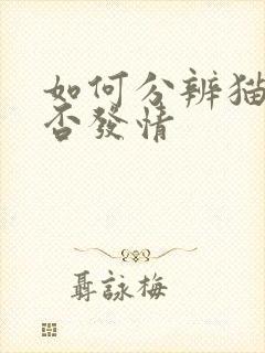 如何分辨猫咪是否发情