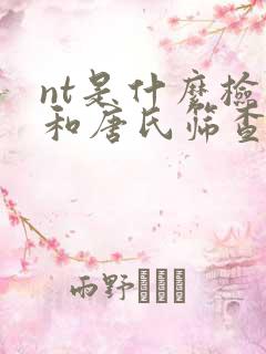 nt是什么检查和唐氏筛查