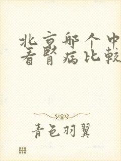 北京哪个中医院看肾病比较好