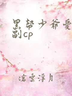 黑帮少爷爱上我副cp