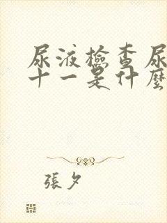 尿液检查尿蛋白十一是什么意思