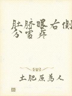 肚脐眼右侧十公分处疼