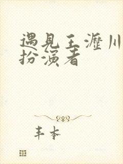 遇见王沥川苏群扮演者