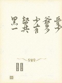 黑帮少爷爱上我一共有多少集