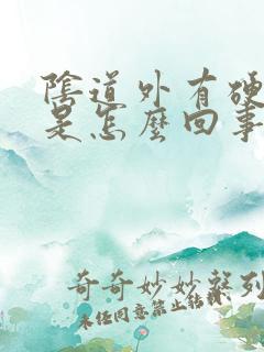 阴道外有硬疙瘩是怎么回事