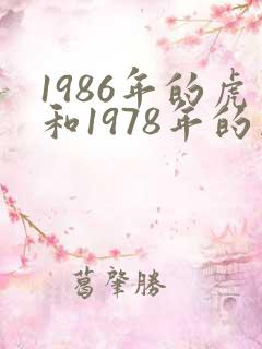 1986年的虎和1978年的马相配吗